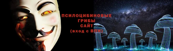 ПСИЛОЦИБИНОВЫЕ ГРИБЫ Абдулино