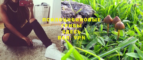ПСИЛОЦИБИНОВЫЕ ГРИБЫ Абдулино