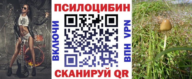 Галлюциногенные грибы MAGIC MUSHROOMS  мега как зайти  площадка как зайти  Димитровград 