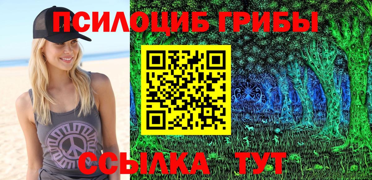 Димитровград  Вход с VPN  ЭКСТАЗИ  КОКАИН  Гашиш  Меф МЯУ МЯУ   Марихуана 
