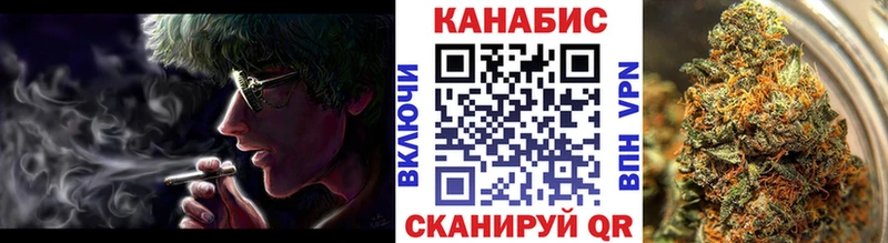 Бошки марихуана сатива  где продают наркотики  OMG ONION  Димитровград 